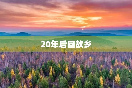 20年后回故乡