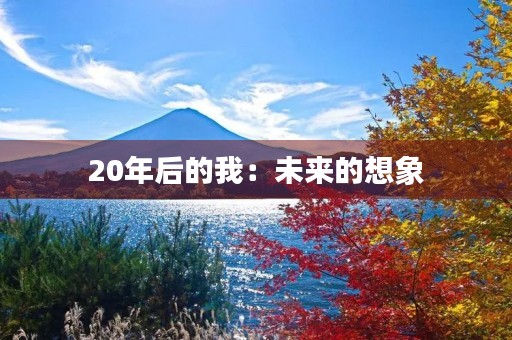 20年后的我:未来的想象 20年后的我:未来的想象