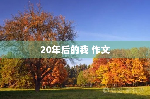 20年后的我 作文 20年后的我 作文