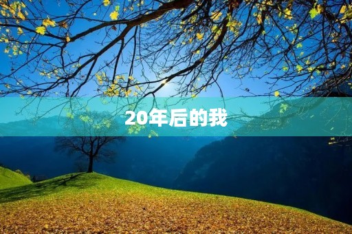 20年后的我 20年后的我