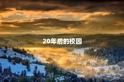 20年后的校园