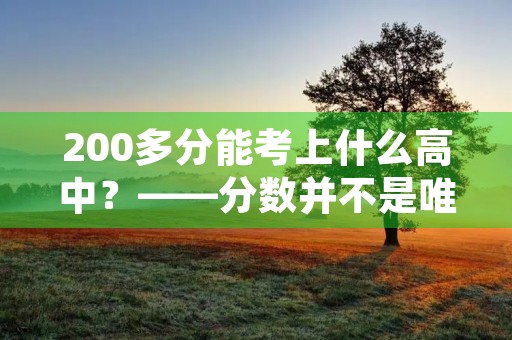 200多分能考上什么高中?——分数并不是唯一的标准 200多分能考上什么高中?——分数并不是唯一的标准