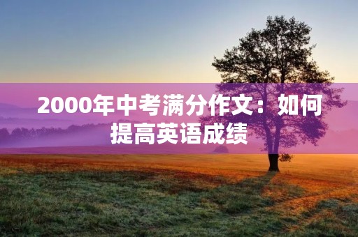 2000年中考满分作文：如何提高英语成绩