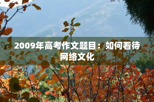 2009年高考作文题目：如何看待网络文化