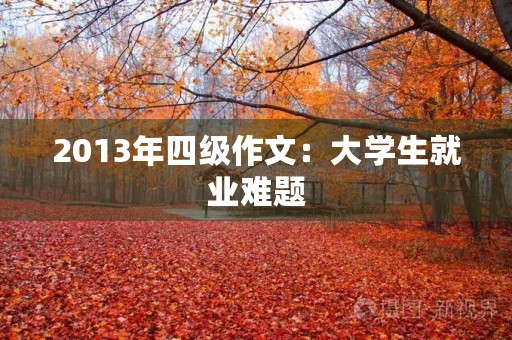 2013年四级作文：大学生就业难题