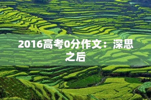 2016高考0分作文：深思之后，我明白了