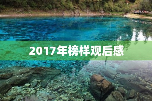 2017年榜样观后感 2017年榜样观后感