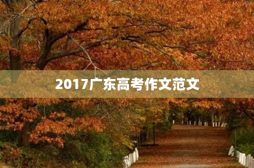 2017广东高考作文范文 2017广东高考作文范文