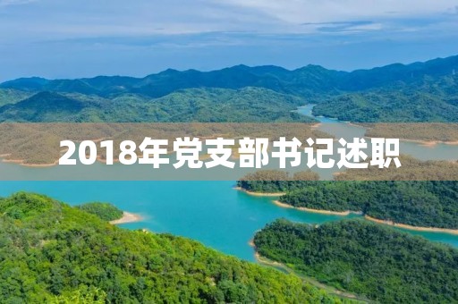 2018年党支部书记述职，2018年党支部书记个人总结_2018年党支部书记个人述职报告篇