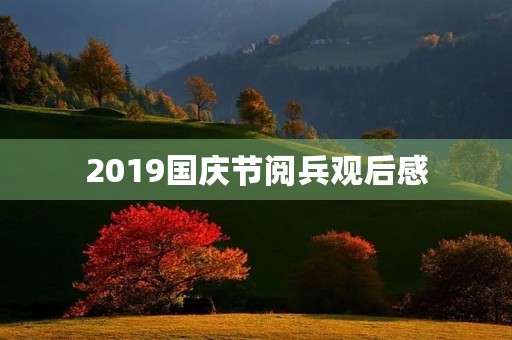 2019国庆节阅兵观后感 2019国庆节阅兵观后感