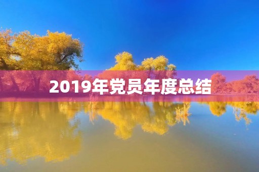 2019年党员年度总结
