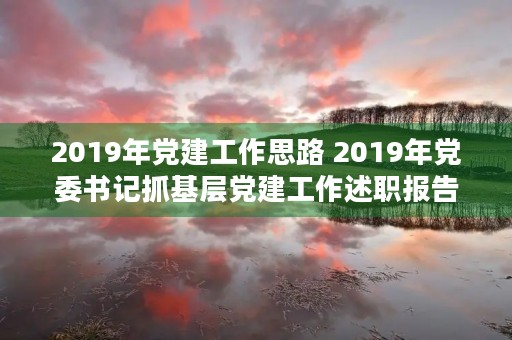 2019年党建工作思路 2019年党委书记抓基层党建工作述职报告