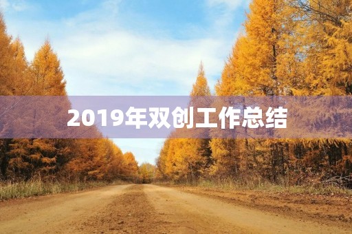 2019年双创工作总结