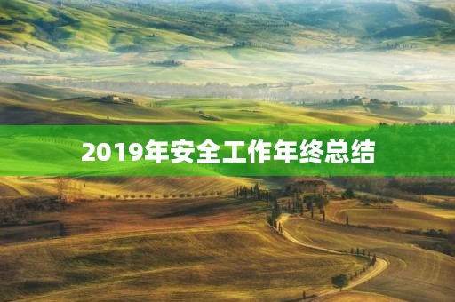 2019年安全工作年终总结