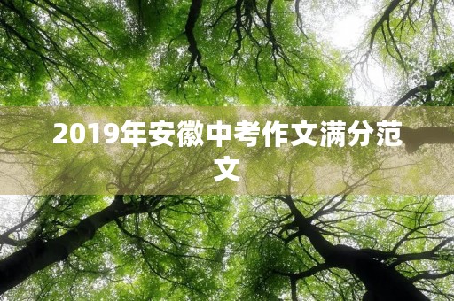 2019年安徽中考作文满分范文 2019年安徽中考作文满分范文
