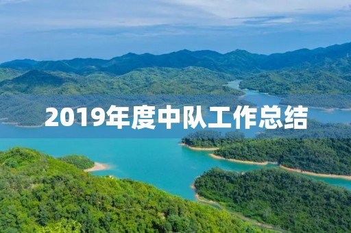 2019年度中队工作总结 2019年度中队工作总结