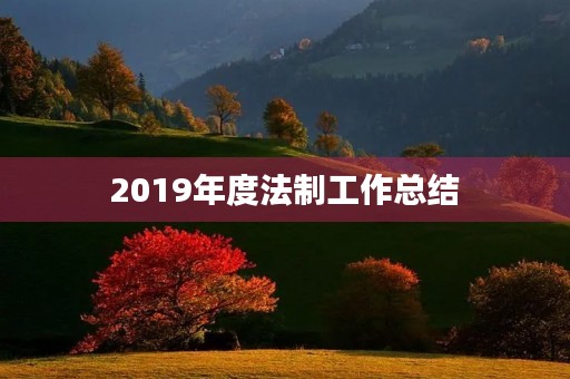 2019年度法制工作总结