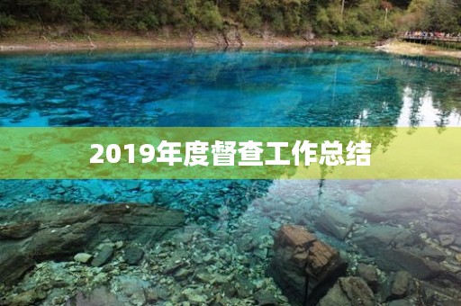 2019年度督查工作总结