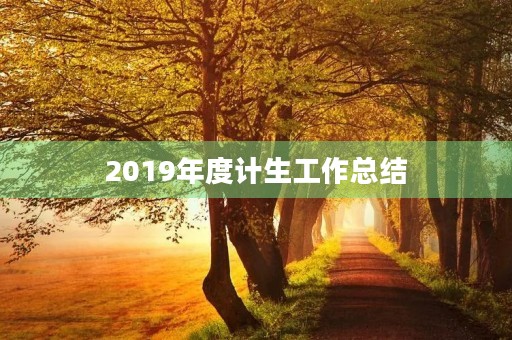 2019年度计生工作总结