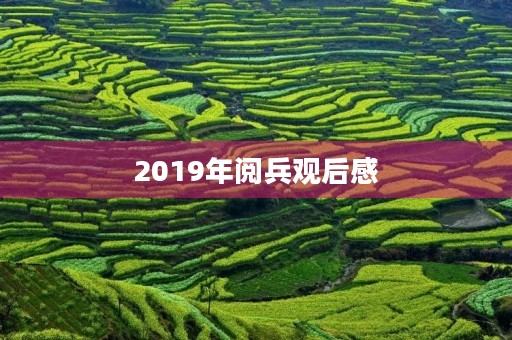 2019年阅兵观后感