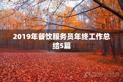 2019年餐饮服务员年终工作总结5篇