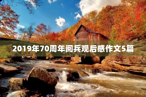 2019年70周年阅兵观后感作文5篇