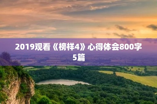 2019观看《榜样4》心得体会800字5篇 2019观看《榜样4》心得体会800字5篇