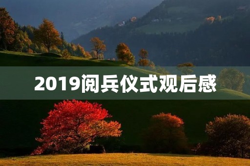 2019阅兵仪式观后感 2019阅兵仪式观后感