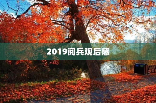 2019阅兵观后感