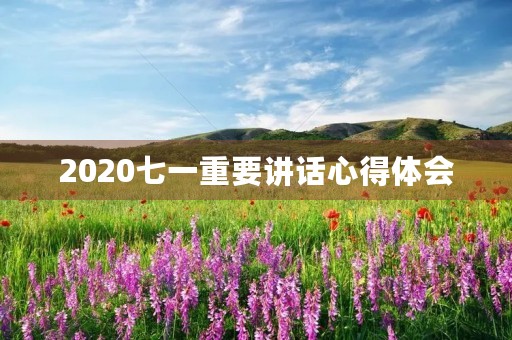 2020七一重要讲话心得体会,七一重要讲话精神心得体会20211000