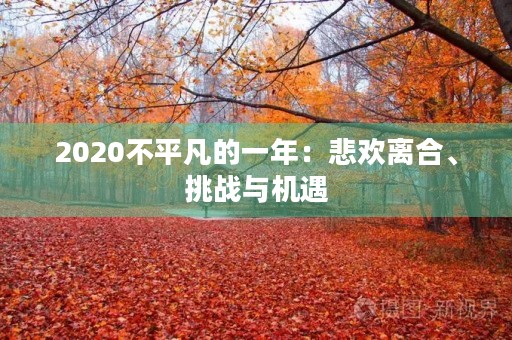 2020不平凡的一年：悲欢离合、挑战与机遇