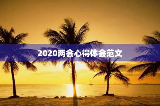 2020两会心得体会范文