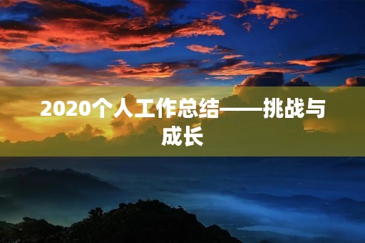 2020个人工作总结——挑战与成长