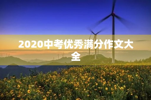 2020中考优秀满分作文大全 2020中考优秀满分作文大全