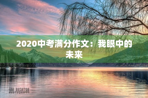 2020中考满分作文:我眼中的未来 2020中考满分作文:我眼中的未来