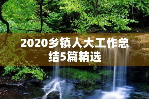 2020乡镇人大工作总结5篇精选
