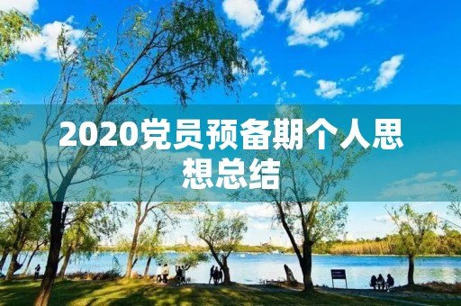 2020党员预备期个人思想总结