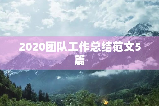 2020团队工作总结范文5篇
