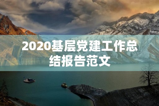 2020基层党建工作总结报告范文