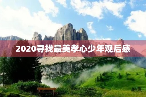 2020寻找最美孝心少年观后感