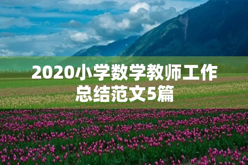 2020小学数学教师工作总结范文5篇