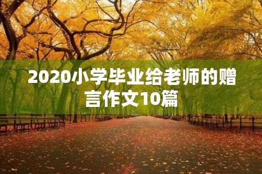 2020小学毕业给老师的赠言作文10篇 2020小学毕业给老师的赠言作文10篇