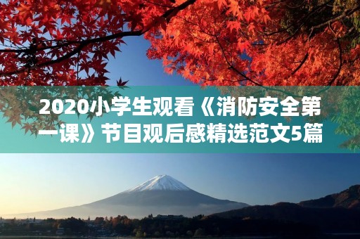 2020小学生观看《消防安全第一课》节目观后感精选范文5篇 2020小学生观看《消防安全第一课》节目观后感精选范文5篇
