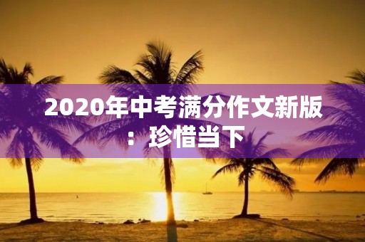 2020年中考满分作文新版：珍惜当下