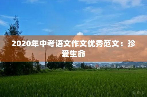 2020年中考语文作文优秀范文:珍爱生命,远离网络游戏 2020年中考语文作文优秀范文:珍爱生命,远离网络游戏