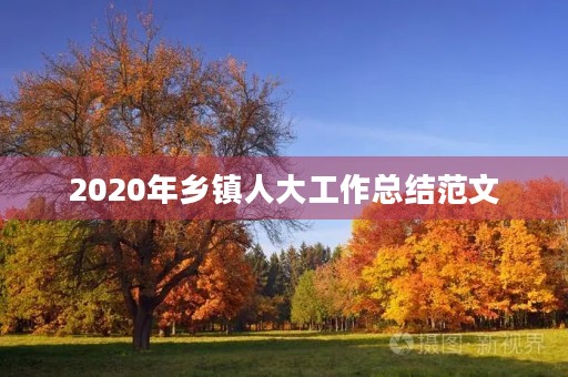 2020年乡镇人大工作总结范文