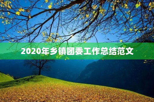 2020年乡镇团委工作总结范文