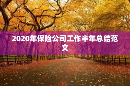 2020年保险公司工作半年总结范文 2020年保险公司工作半年总结范文