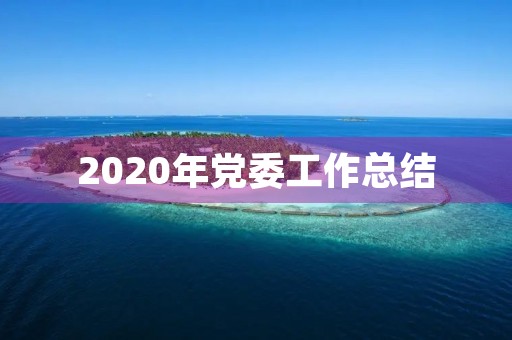 2020年党委工作总结