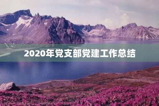 2020年党支部党建工作总结